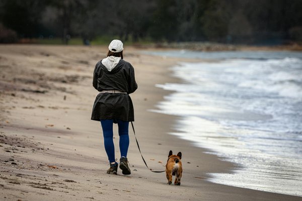 Transportcaninoceane